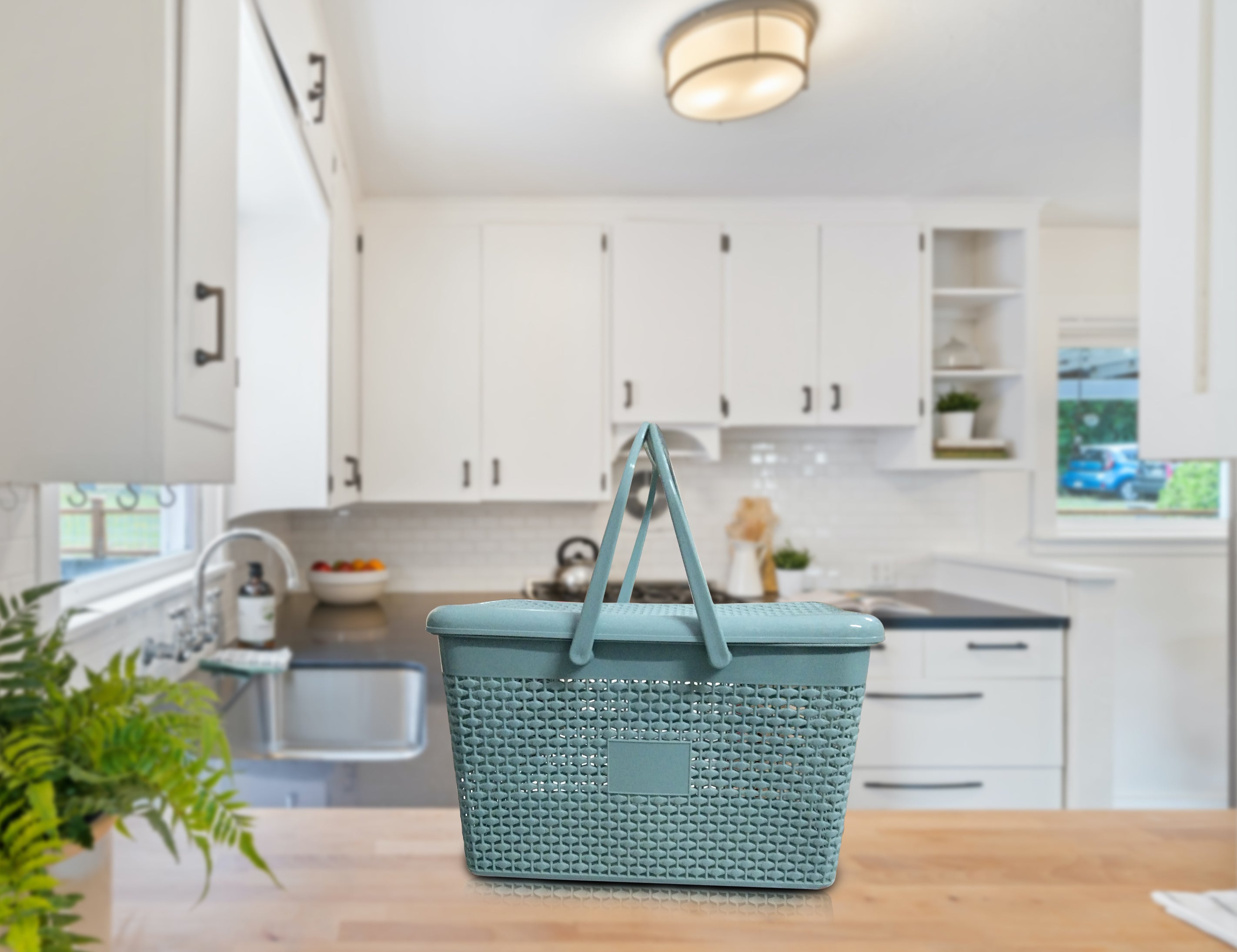 Plastic Lunch Basket with Lid for Office, Home and Picnic Use