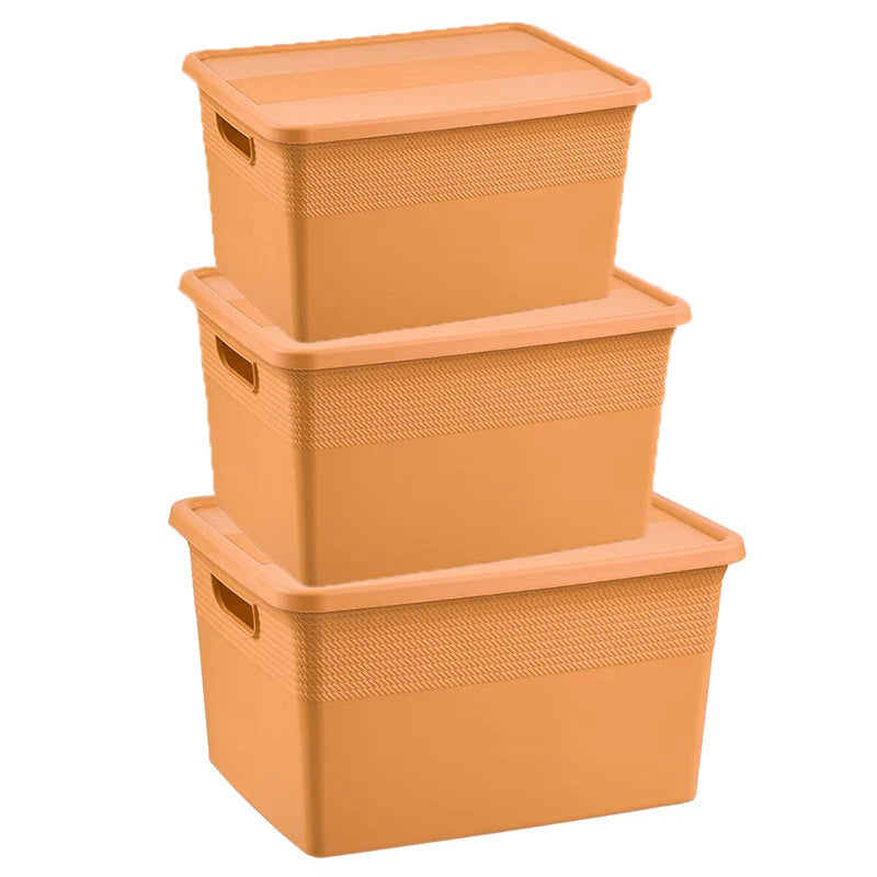 Plastic Storage Basket Set of 3 with Lid for Home/Office Use.