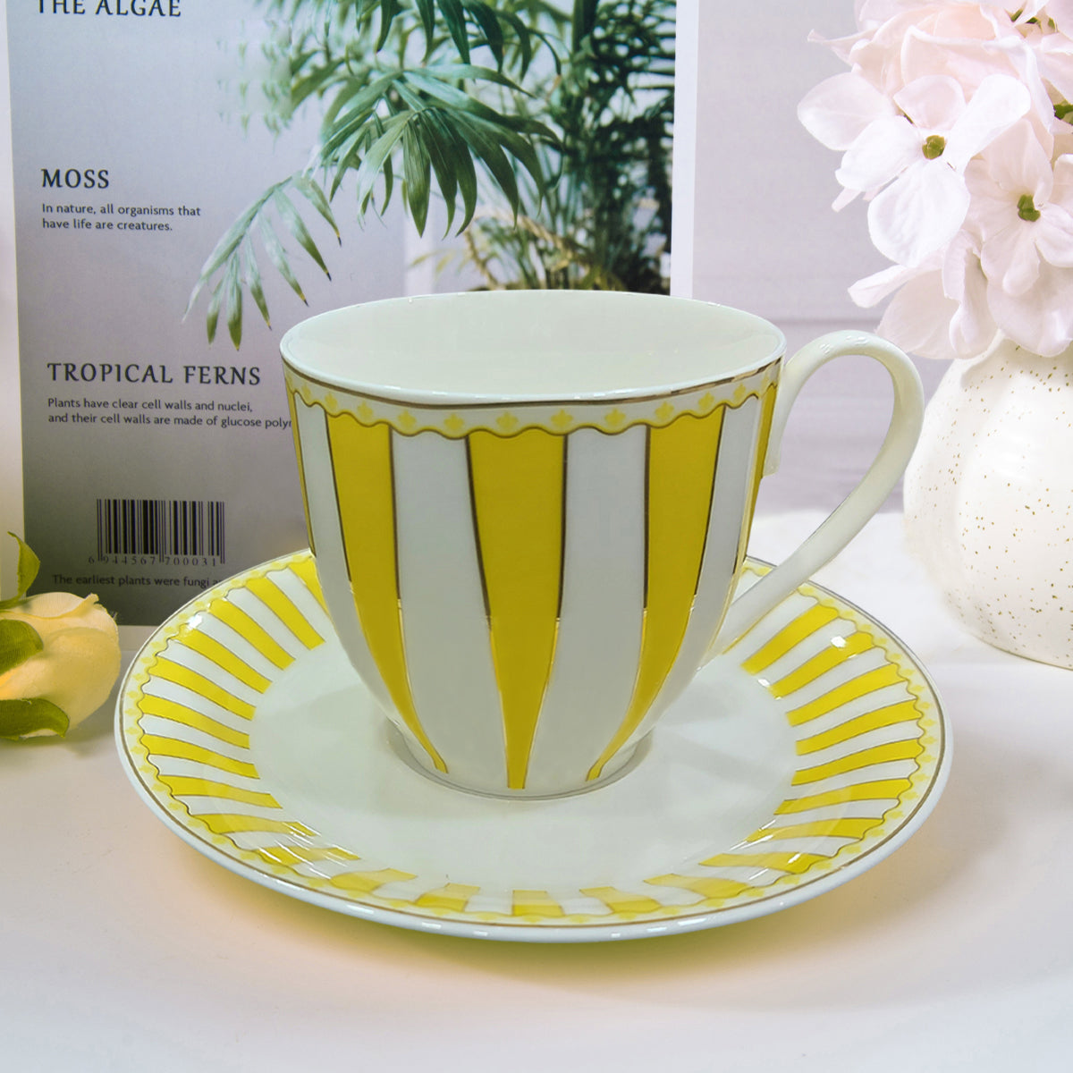 American Brunswick Luxury Cup and Saucer Set Classic Stripe Porcelain (Set of 6)