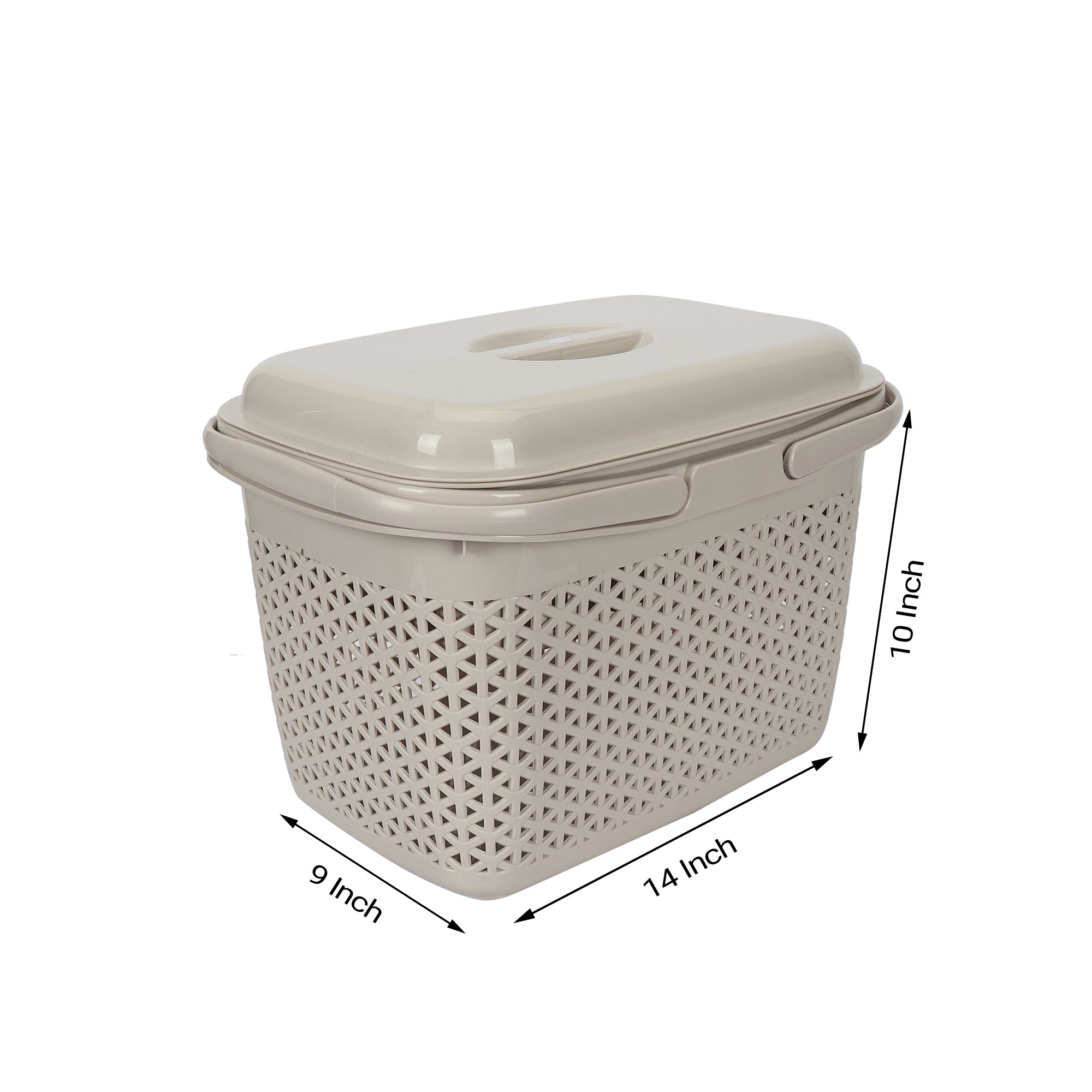 Plastic Lunch Basket with Lid & Fruit/Cutlery Tray for Office, Home and Picnic Use