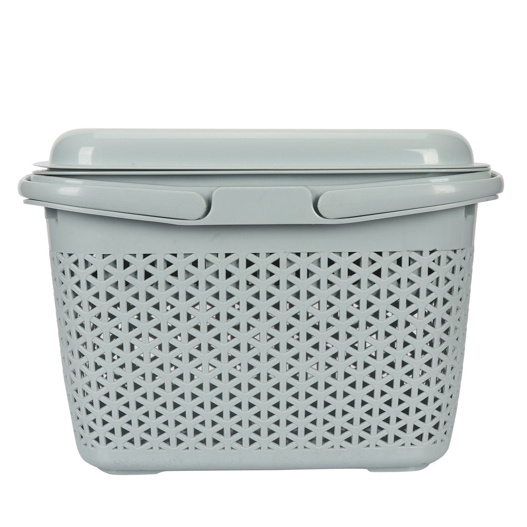 Plastic Lunch Basket with Lid & Fruit/Cutlery Tray for Office, Home and Picnic Use