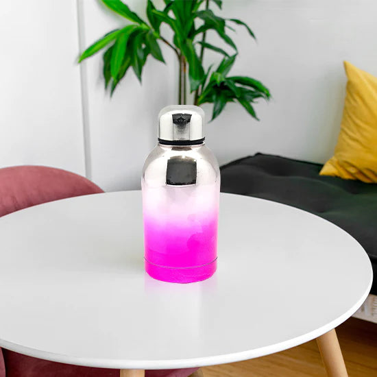 Stainless Steel Vacuum Insulated Water Bottle | Leak-Proof Double Walled Bottle Capacity of 300 ML