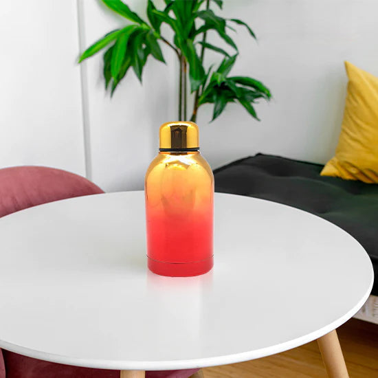 Stainless Steel Vacuum Insulated Water Bottle | Leak-Proof Double Walled Bottle Capacity of 300 ML
