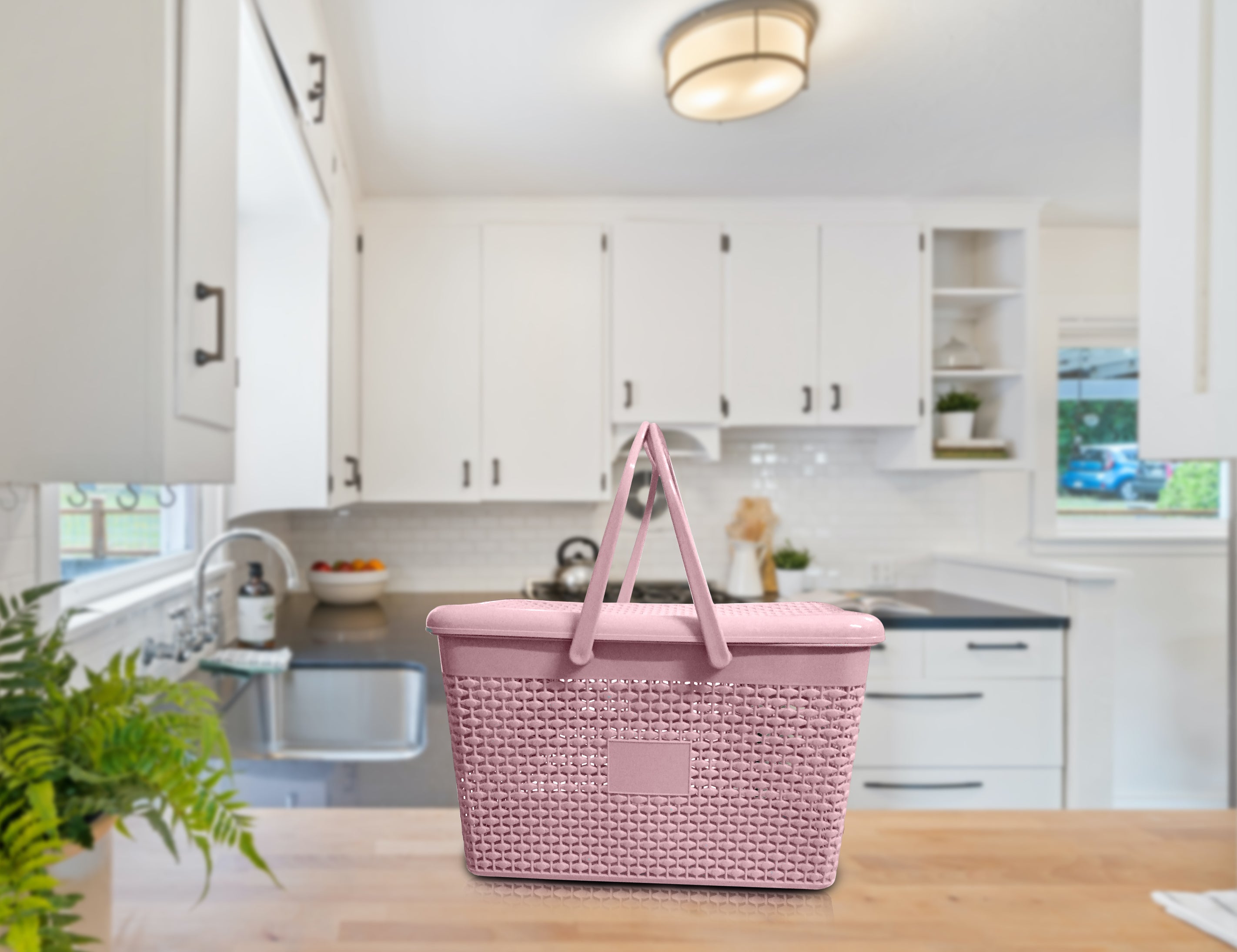 Plastic Lunch Basket with Lid for Office, Home and Picnic Use