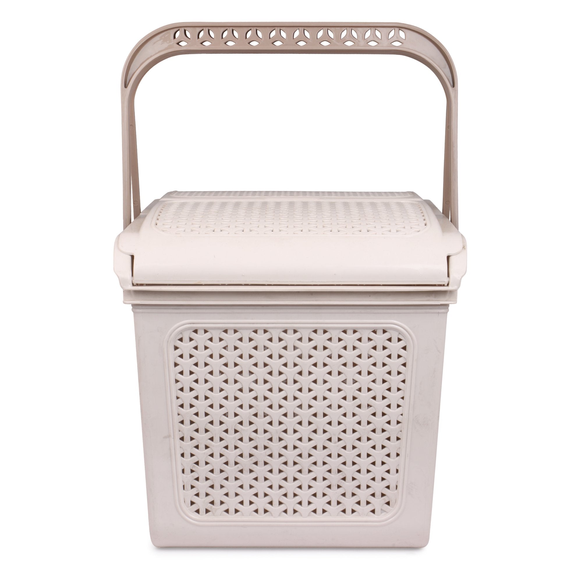 Plastic Lunch Basket with Lid for Office, Home and Picnic Use